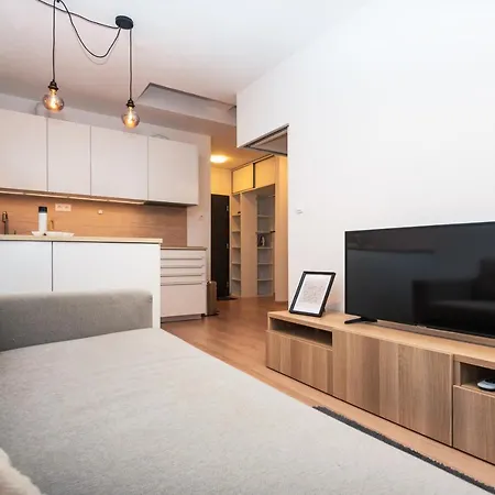 Center - Modern & Elegant * 布拉迪斯拉发